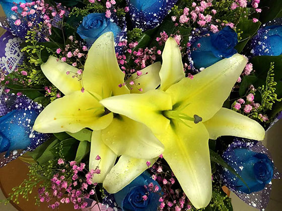 龙岩干花假花-室内外花木植物租摆